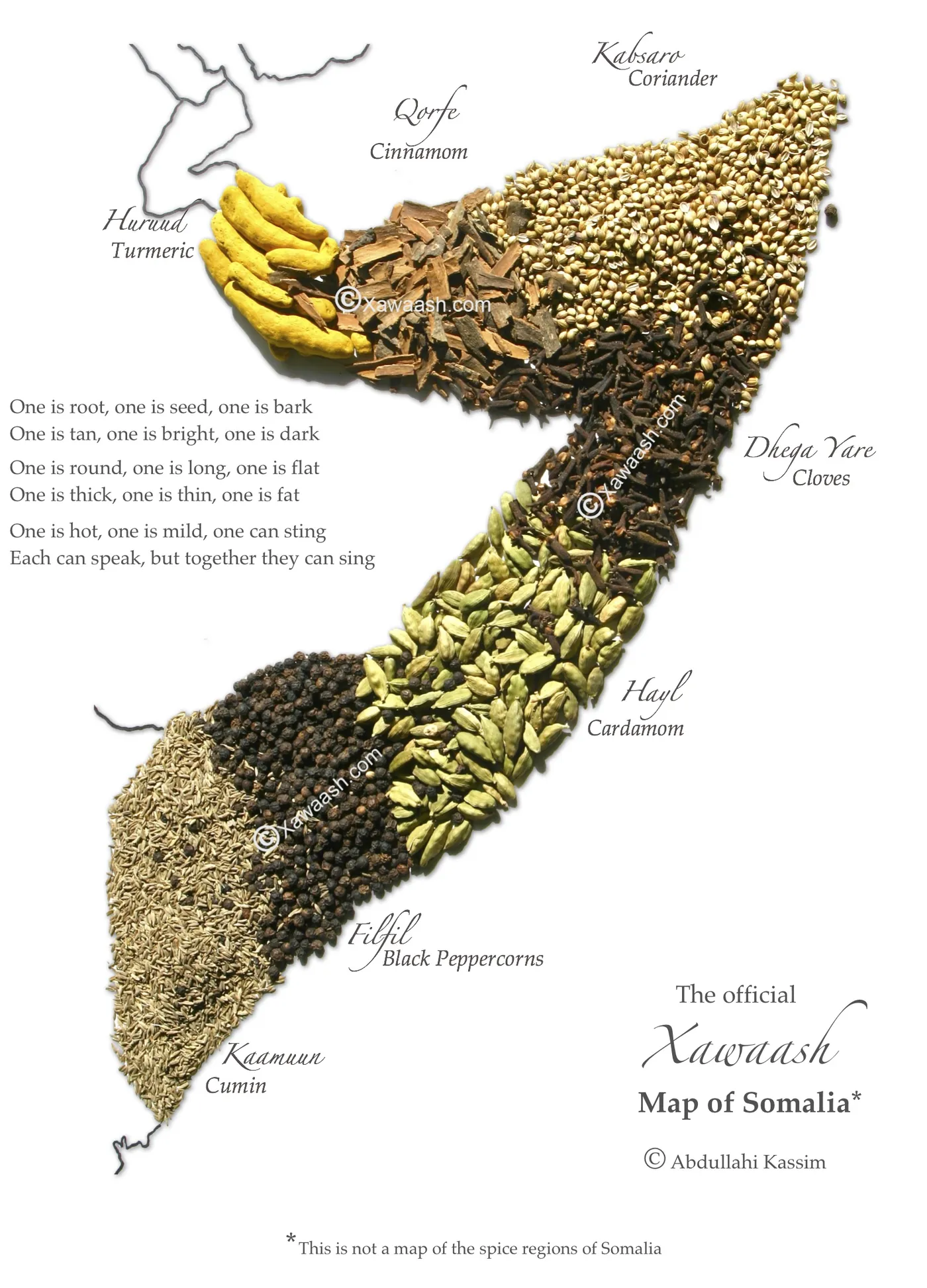 The official Xawaash Map of Somalia: the map of Somalia made from the seven spices of xawaash, labelled in Somali and English: Huruud (turmeric), Qorfe (cinnamon), Kabsaro (coriander), Dhega Yare (cloves), Hayl (cardamom), Filfil (black peppercorns) and Kaamuun (cumin). The poem beside it reads: One is root, one is seed, one is bark. One is tan, one is bright, one is dark. One is round, one is long, one is flat. One is thick, one is thin, one is fat. One is hot, one is mild, one can sting. Each can speak, but together they can sing. Footnote: This is not a map of the spice regions of Somalia. © Abdullahi Kassim.