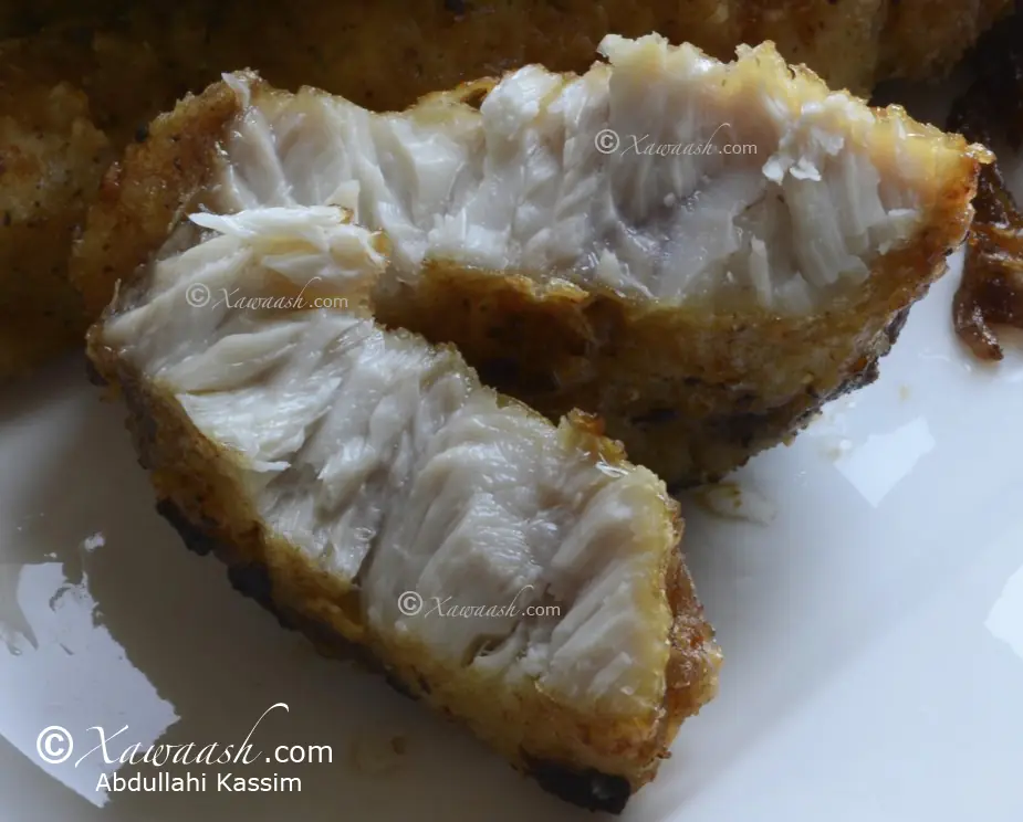 Fried Shark with Caramelized Onions