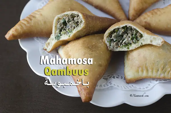 Mahamosa