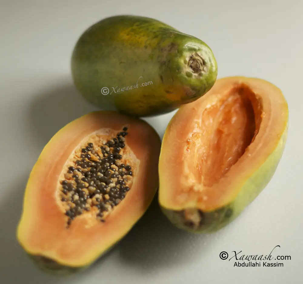 Papaya