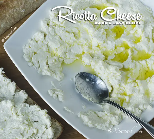 Quick Ricotta Cheese